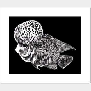 Black white flowerhorn fish Posters and Art